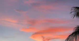 Video by Peggy Anke on Pexels