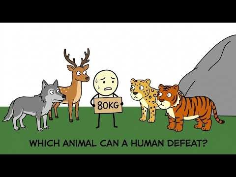 What Is The Biggest Animal A Human Can Actually Beat Barehanded