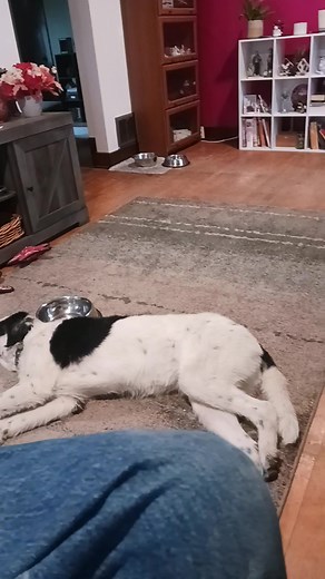 After lunch nap time . Learned something from grade school didn't I? :) | Arthur Butcher