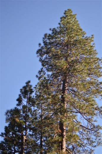 California town makes Airbnb list of little-known rural destinations