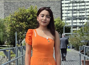 ¿Qué hacen los asambleístas?