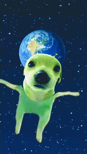alien dog