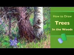 How To Draw Trees in the Woods, Textures and Details