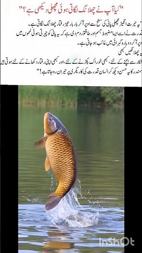 "Amazing Jumping Fish Seen Above the Water Surface"#fish#naturefacts#wildlife#nature#shorts#animals