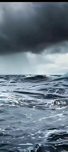 High-Quality 4K Live Wallpapers of the Ocean