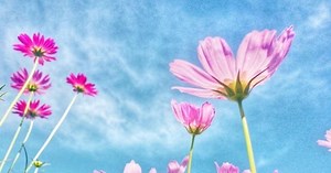 BTSアルバム『Proof』全収録曲まとめ【CD3枚の楽曲について解説】