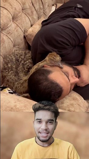 How this man save baby ostrich