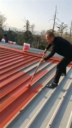 painting the tin roof with a roll of steel connected by sticks