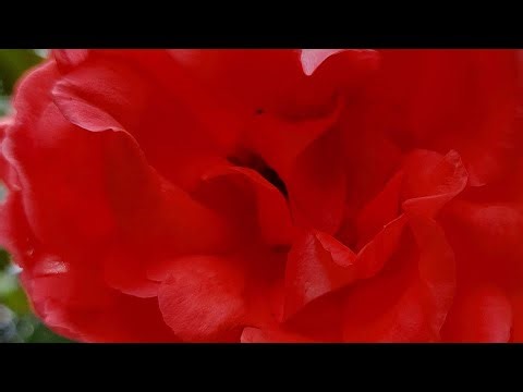 How to Create a Personal YouTube Channel: Step-by-Step Guide for Computer and Mobile.