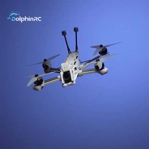 DolphinRC Nightingale X5! ✨