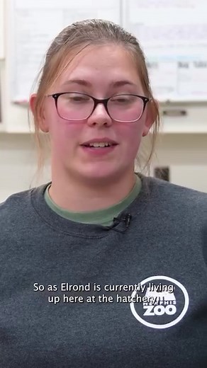 8.6K views · 362 reactions | HELLO, BABY! Memphis Zoo is delighted...