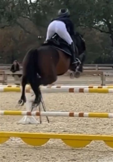 Smallest Set Oxer Course Jumping Training Tips