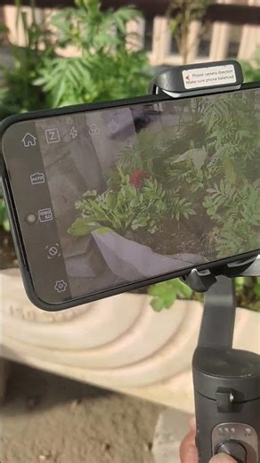 #vivo #gimbal #gimbalsmartphone #vivox300 #vivoindia #youtubegrowth #youtubeshorts #trendingnow