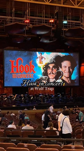 A dream come true 🥹 Hook in Concert was truly magical 🧚‍♀️✨ #hook #peterpan #concert #music #film