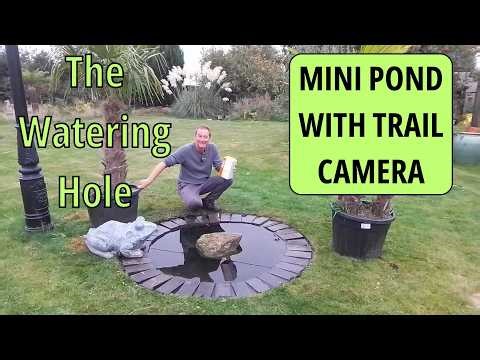 The Wildlife 'Watering Hole' (Small Garden Pond with Trail Camera)