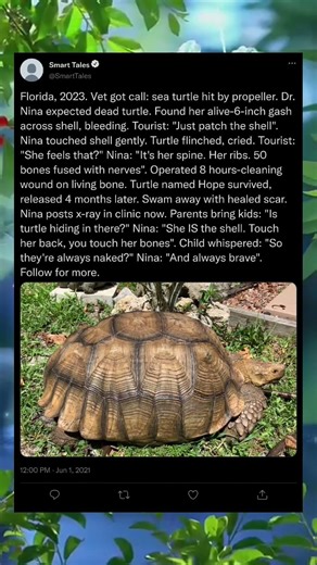 This Turtle’s Feelings Changed Everything 🐢🥺 #heartwarming #viral #shorts