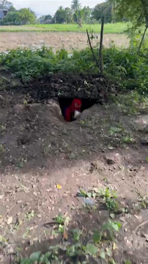 2.7M views · 81K reactions | Mini spider sa lupa! | Jejemon VINES | Facebook