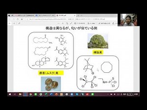 嗅覚の仕組み（講義動画・分割版）