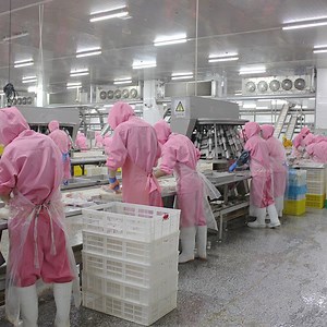 [Hot Item] Halal Processing Equipment Chicken Processing Equipment Duck Slaughter Processing Line Poultry Slaughter Equipment