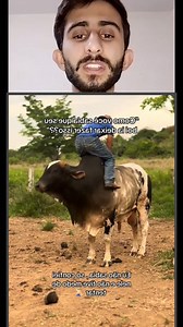 bhai ko wera ksy bitha rha ooper #knowledge #technology #reels #reelstrending #reelkarofeelkaro #facts | Faheem khan 01