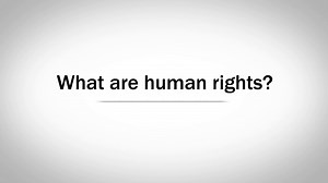 The Story of Human Rights