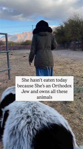 An orthodox Jewish women managing a farm ❤️ #animals #farmlife #jewish #feedtheanimals | Chana Horowitz