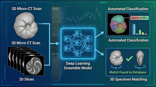 AI Fossil App ForamDeepSlice | Abdelghafour HALIMI, Ph.D
