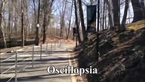 Oscillopsia: A Common Symptom of Bilateral Vestibular Loss | NOVEL - Daniel Gold Collection