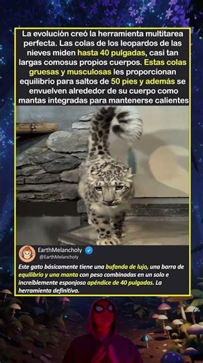 CUANDO TU COLA ES TU SUPERPODER