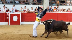 Course landaise : Brocadine sacrée Corne d’Or 2024, Gauthier Labeyrie conserve son titre à Nogaro