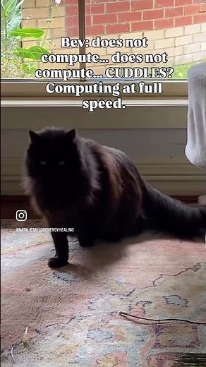 Bev: does not compute…does not compute….CUDDLES?! Computing at full speed…