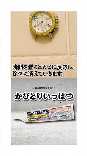 強力ジェルで即撃退！かびとりいっぱつ｜ジョイフルエーケー