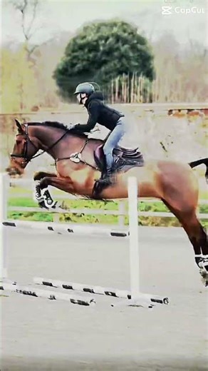 THATS JUST NOT MY PROBLEM