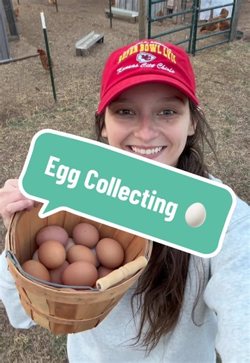 Come collect the eggs for the weekend #homestead #eggs #chickens #farmfresh #cainacres 🥚☀️🐓🌻