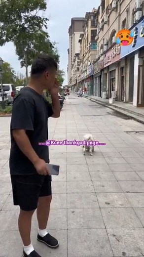 190K views · 6.5K reactions | Where is he hiding and making that sound 掠露‍♀️‍了 #dog #fun #trending | KCEE THANK GOD | Facebook