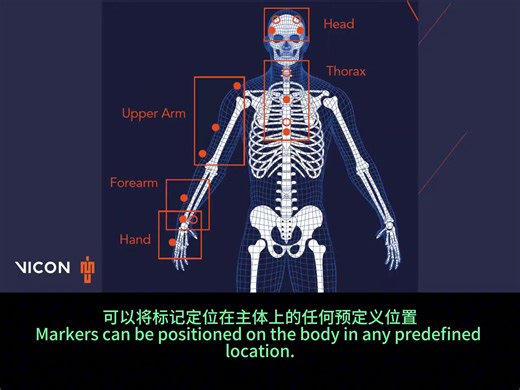 Vicon Nexus自定义骨架标签模板-P1