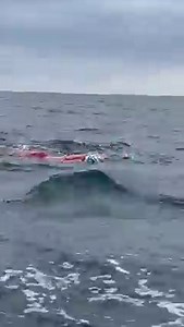 7.4K views · 276 reactions | Finding her groove 16 year old @abi.mc05 Abi McNamarra Port Oriel crossing 12.07.2022 Start time: 08:00hrs Water 14.7C Air 17.4C https://infinitychannelswimming.com/port-oriel/ https://track.rs/infinityAbiMcNamarra | infinity Channel Swimming | Facebook