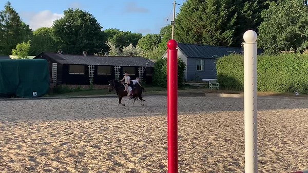 Horse Riding Skills: Jumping Techniques in Equestrian Arena
