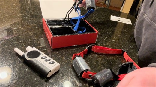 Watch 3 Dog Training Collars for Vibration and Shock Training on Amazon Live