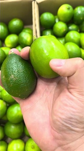 How to choose citrus fruit 🍋‍🟩🍋🍊