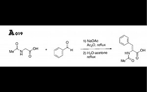 福山机理A019 氨基酸的缩合反应- Erlenmeyer-Plöchl噁唑酮合成_哔哩哔哩_bilibili