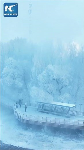Stunning rime scenery in NE China's Jilin