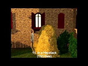 The Sims 3 All WooHoo Spots PART 1 (World Adventures-Seasons + Stores!)