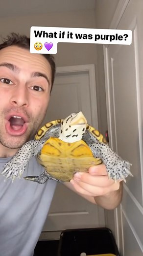 23K views · 271 reactions | Using Acriflavine to treat some rot on this rescued female Diamondback Terrapin!    ~~~~~~~~~~~~~~~~~~~~~~~~~ #fish #aquarium #aquatics #reptiles #reptile #turtle #turtles #diamondbackterrapin #Dbt #turtleroom #tortoise #tortoises #cute #pets #petsofinstagram #cuteturtles #babyturtles #redearslider #Terrapin #terrapins #pond #ponds #aquascape #landscape #spottedturtle #turtlepond #concentric #endangered #reptilesofinstagram | DanTheTurtleMan | Facebook