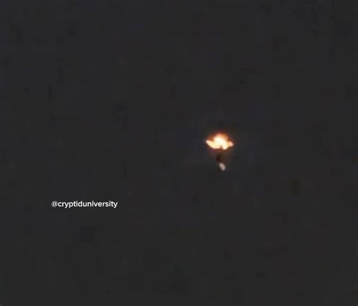 22K views · 275 reactions | UFO/UAP Recorded in Texas! | Cryptid University | Facebook