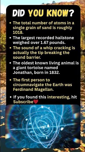 🐢 Meet Jonathan — Born in 1832! 😳 + The Grain of Sand With 1,000,000,000,000,000,000 Atoms