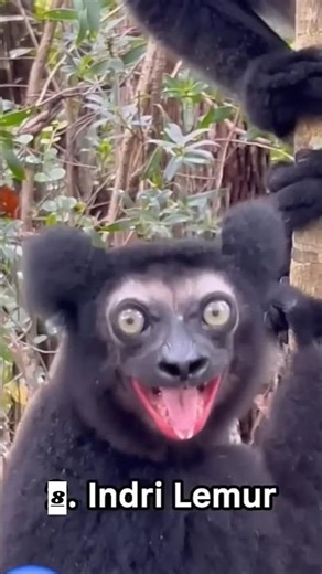 weird sounds 😨 😱