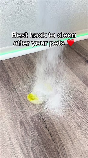 Sprinkle & Sweep works great on pet pee, poo, vomit, hairballs and so much more! 🥳 Just sprinkle, sweep and you’re done! It’s literally that simple #sprinklesweep #petsoftiktok #petparents #petmesssolution #nontoxicpetproducts