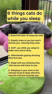 Things cats do while you sleep #fblifestyle #cats #catsoffacebook | purrfectinfluencer