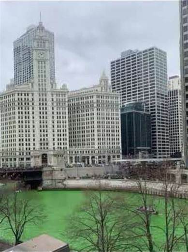 Student Exchange Program Insights and Experiences